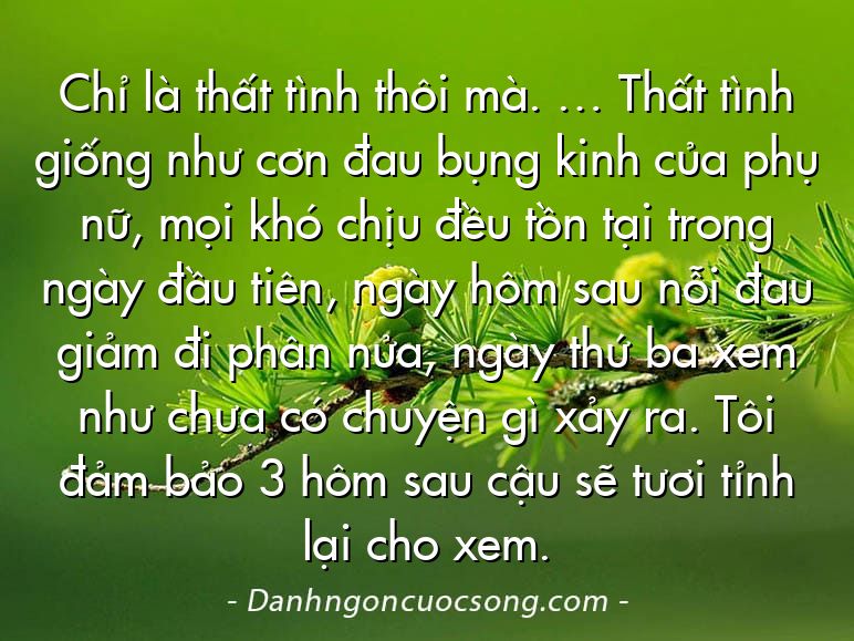 Chỉ là thất tình thôi mà. … Thất tình giống như cơn đau bụng kinh của phụ nữ, mọi khó chịu đều tồn tại trong ngày đầu tiên, ngày hôm sau nỗi đau giảm đi phân nửa, ngày thứ ba xem như chưa có chuyện gì xảy ra. Tôi đảm bảo 3 hôm sau cậu sẽ tươi tỉnh lại cho xem.