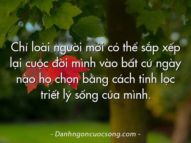 Chỉ loài người mới có thể sắp xếp lại cuộc đời mình vào bất cứ ngày nào họ chọn bằng cách tinh lọc triết lý sống của mình.