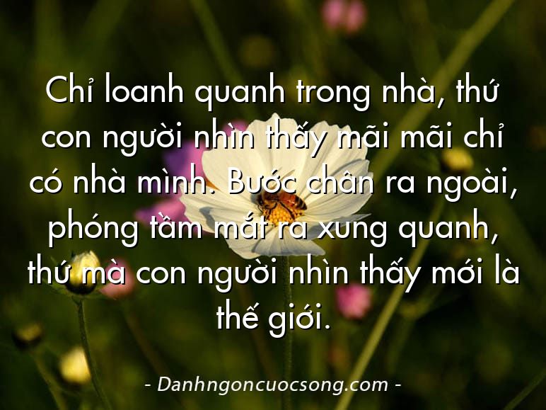 Chỉ loanh quanh trong nhà, thứ con người nhìn thấy mãi mãi chỉ có nhà mình. Bước chân ra ngoài, phóng tầm mắt ra xung quanh, thứ mà con người nhìn thấy mới là thế giới.