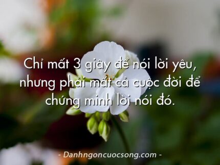 Chỉ mất 3 giây để nói lời yêu, nhưng phải mất cả cuộc đời để chứng minh lời nói đó.