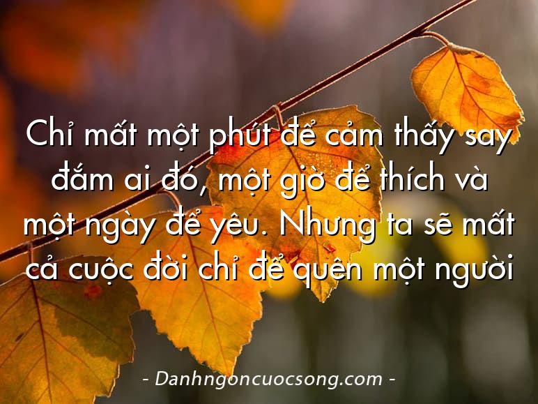 Chỉ mất một phút để cảm thấy say đắm ai đó, một giờ để thích và một ngày để yêu. Nhưng ta sẽ mất cả cuộc đời chỉ để quên một người