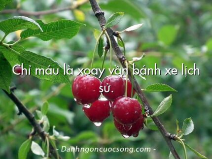 Chỉ máu là xoay vần bánh xe lịch sử.