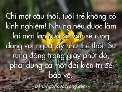 Chỉ một câu thôi, tuổi trẻ không có kinh nghiệm! Nhưng nếu được làm lại một lần nữa cô vẫn sẽ rung động với người ấy như thế thôi. Sự rung động trong giây phút đó, phải dùng cả một đời kiên trì để bảo vệ.