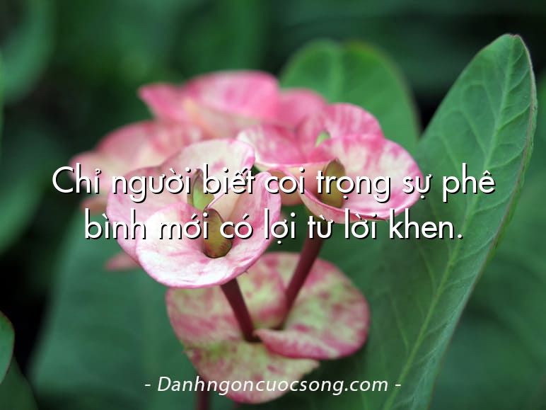 Chỉ người biết coi trọng sự phê bình mới có lợi từ lời khen.