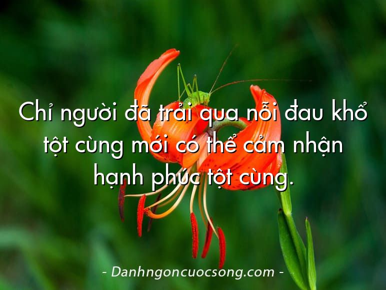 Chỉ người đã trải qua nỗi đau khổ tột cùng mới có thể cảm nhận hạnh phúc tột cùng.