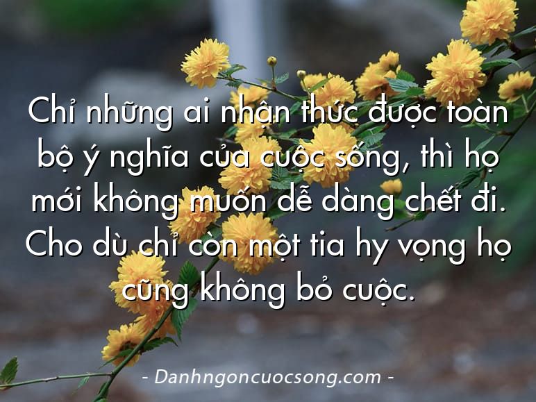 Chỉ những ai nhận thức được toàn bộ ý nghĩa của cuộc sống, thì họ mới không muốn dễ dàng chết đi. Cho dù chỉ còn một tia hy vọng họ cũng không bỏ cuộc.
