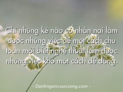 Chỉ những kẻ nào có nhẫn nại làm được những việc dễ một cách chu toàn mới biết nghệ thuật làm được những việc khó một cách dễ dàng.
