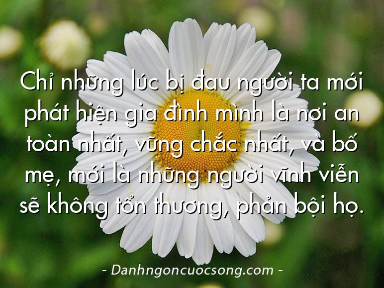 Chỉ những lúc bị đau người ta mới phát hiện gia đình mình là nơi an toàn nhất, vững chắc nhất, và bố mẹ, mới là những người vĩnh viễn sẽ không tổn thương, phản bội họ.