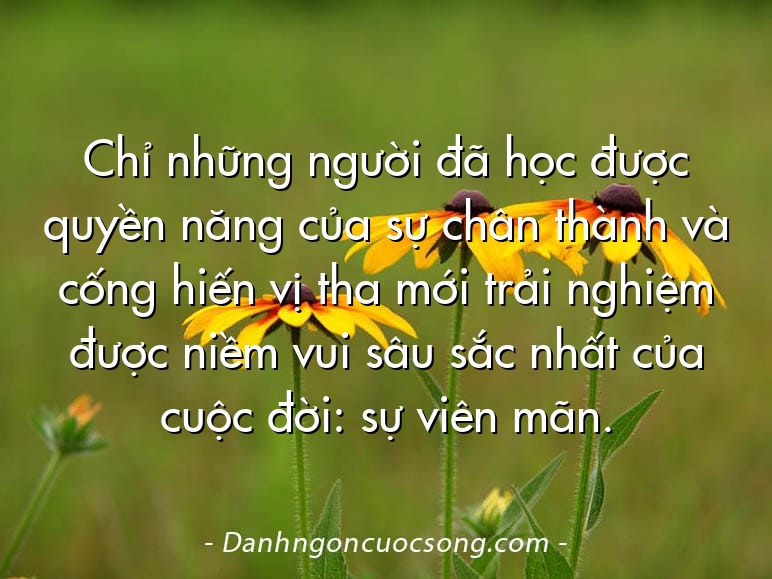 Chỉ những người đã học được quyền năng của sự chân thành và cống hiến vị tha mới trải nghiệm được niềm vui sâu sắc nhất của cuộc đời: sự viên mãn.