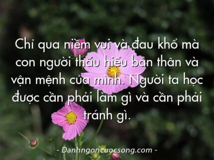 Chỉ qua niềm vui và đau khổ mà con người thấu hiểu bản thân và vận mệnh của mình. Người ta học được cần phải làm gì và cần phải tránh gì.