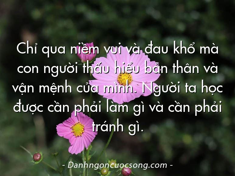 Chỉ qua niềm vui và đau khổ mà con người thấu hiểu bản thân và vận mệnh của mình. Người ta học được cần phải làm gì và cần phải tránh gì.