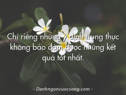 Chỉ riêng những ý định trung thực không bảo đảm được những kết quả tốt nhất.