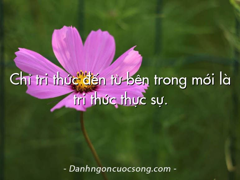 Chỉ tri thức đến từ bên trong mới là tri thức thực sự.