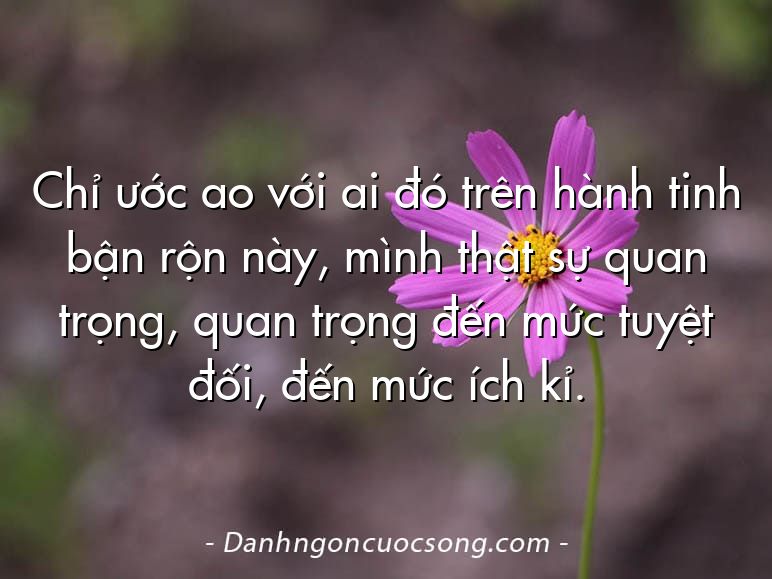Chỉ ước ao với ai đó trên hành tinh bận rộn này, mình thật sự quan trọng, quan trọng đến mức tuyệt đối, đến mức ích kỉ.