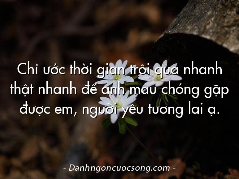 Chỉ ước thời gian trôi qua nhanh thật nhanh để anh mau chóng gặp được em, người yêu tương lai ạ.
