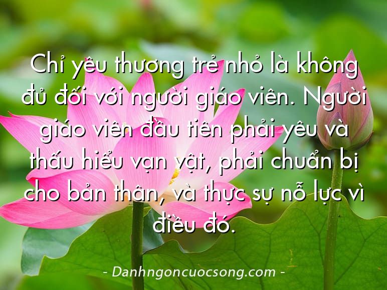 Chỉ yêu thương trẻ nhỏ là không đủ đối với người giáo viên. Người giáo viên đầu tiên phải yêu và thấu hiểu vạn vật, phải chuẩn bị cho bản thân, và thực sự nỗ lực vì điều đó.