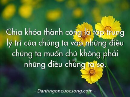 Chìa khóa thành công là tập trung lý trí của chúng ta vào những điều chúng ta muốn chứ không phải những điều chúng ta sợ.