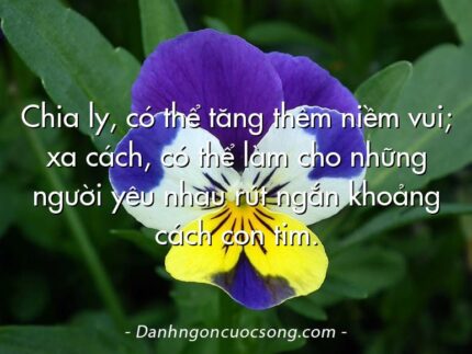 Chia ly, có thể tăng thêm niềm vui; xa cách, có thể làm cho những người yêu nhau rút ngắn khoảng cách con tim.