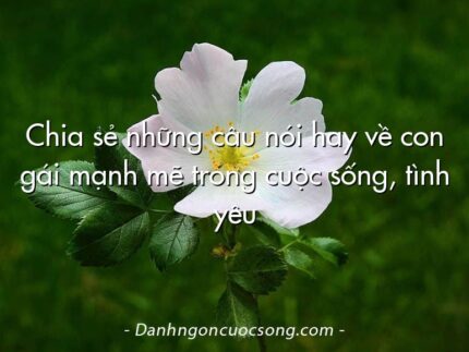 Chia sẻ những câu nói hay về con gái mạnh mẽ trong cuộc sống, tình yêu