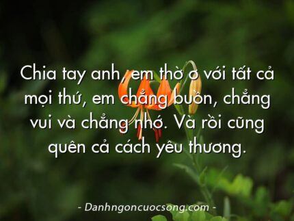 Chia tay anh, em thờ ơ với tất cả mọi thứ, em chẳng buồn, chẳng vui và chẳng nhớ. Và rồi cũng quên cả cách yêu thương.