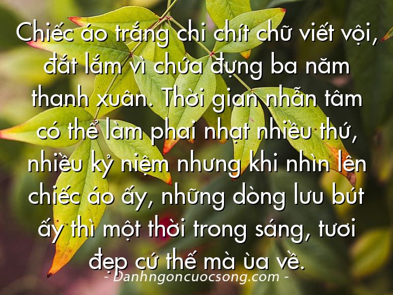 Chiếc áo trắng chi chít chữ viết vội, đắt lắm vì chứa đựng ba năm thanh xuân. Thời gian nhẫn tâm có thể làm phai nhạt nhiều thứ, nhiều kỷ niệm nhưng khi nhìn lên chiếc áo ấy, những dòng lưu bút ấy thì một thời trong sáng, tươi đẹp cứ thế mà ùa về.