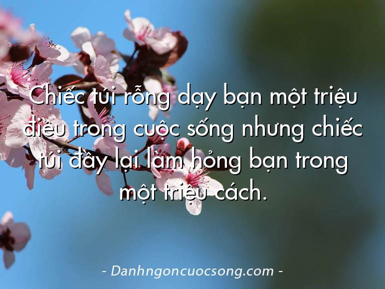 Chiếc túi rỗng dạy bạn một triệu điều trong cuộc sống nhưng chiếc túi đầy lại làm hỏng bạn trong một triệu cách.