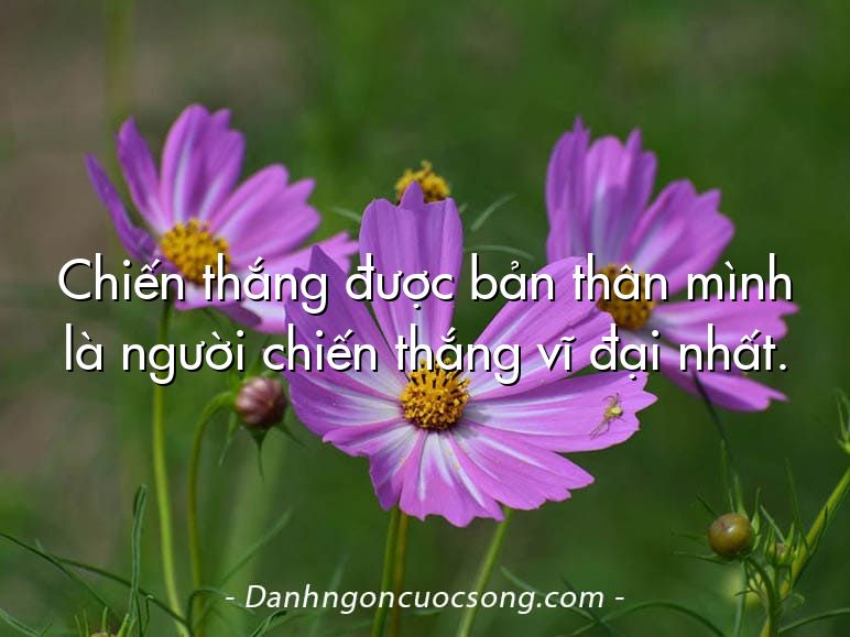 Chiến thắng được bản thân mình là người chiến thắng vĩ đại nhất.