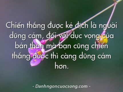 Chiến thắng được kẻ địch là người dũng cảm, đối với dục vọng của bản thân mà bạn cũng chiến thắng được thì càng dũng cảm hơn.