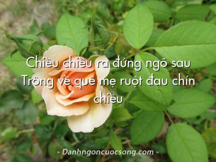 Chiều chiều ra đứng ngõ sau Trông về quê mẹ ruột đau chín chiều