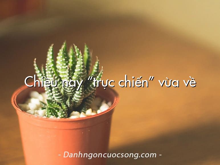 Chiều nay “trực chiến” vừa về