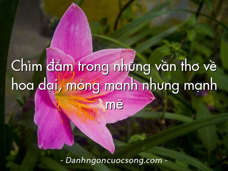 Chìm đắm trong những vần thơ về hoa dại, mỏng manh nhưng mạnh mẽ