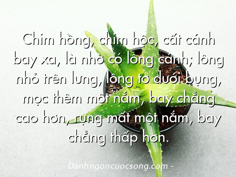 Chim hồng, chim hộc, cất cánh bay xa, là nhờ có lông cánh; lông nhỏ trên lưng, lông tơ dưới bụng, mọc thêm một nắm, bay chẳng cao hơn, rụng mất một nắm, bay chẳng thấp hơn.