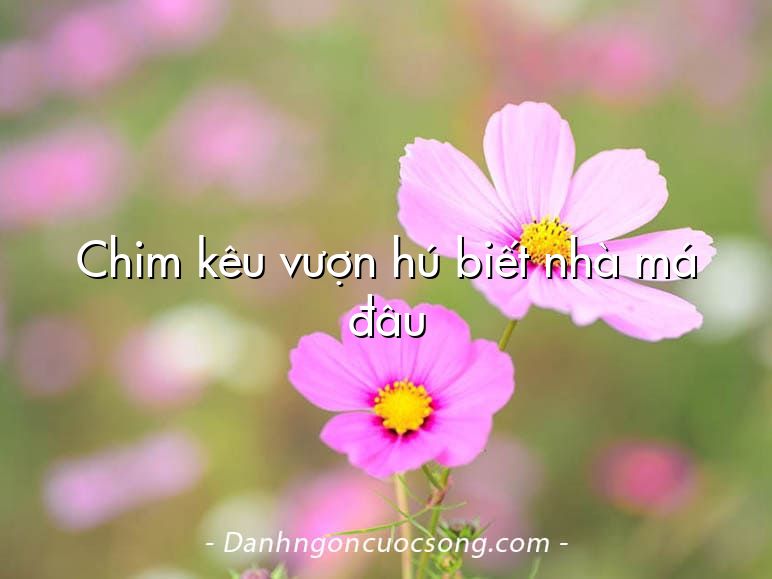 Chim kêu vượn hú biết nhà má đâu