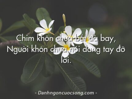 Chim khôn chưa bắt đà bay, Người khôn chưa nói dang tay đỡ lời.