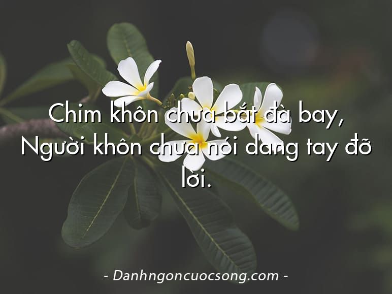 Chim khôn chưa bắt đà bay, Người khôn chưa nói dang tay đỡ lời.