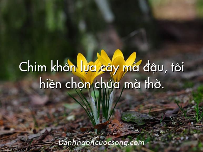 Chim khôn lựa cây mà đậu, tôi hiền chọn chúa mà thờ.