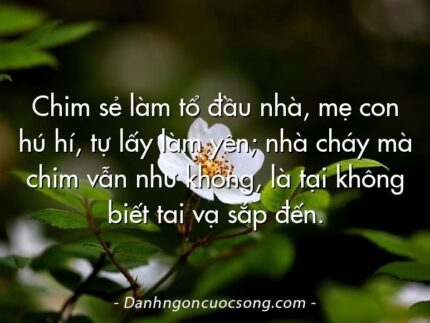 Chim sẻ làm tổ đầu nhà, mẹ con hú hí, tự lấy làm yên; nhà cháy mà chim vẫn như không, là tại không biết tai vạ sắp đến.