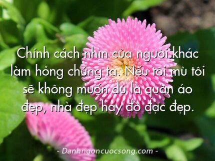 Chính cách nhìn của người khác làm hỏng chúng ta. Nếu tôi mù tôi sẽ không muốn dù là quần áo đẹp, nhà đẹp hay đồ đạc đẹp.