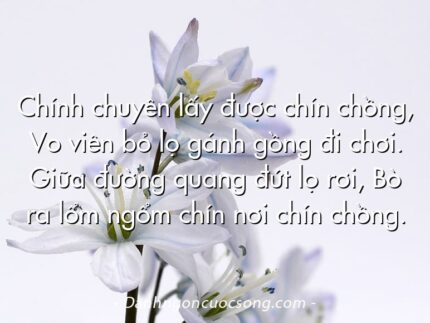 Chính chuyên lấy được chín chồng, Vo viên bỏ lọ gánh gồng đi chơi. Giữa đường quang đứt lọ rơi, Bò ra lổm ngổm chín nơi chín chồng.