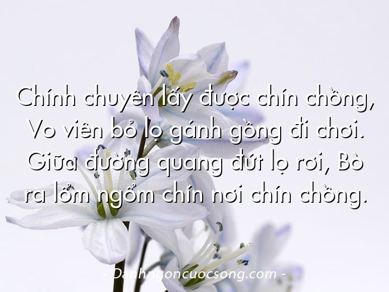 Chính chuyên lấy được chín chồng, Vo viên bỏ lọ gánh gồng đi chơi. Giữa đường quang đứt lọ rơi, Bò ra lổm ngổm chín nơi chín chồng.