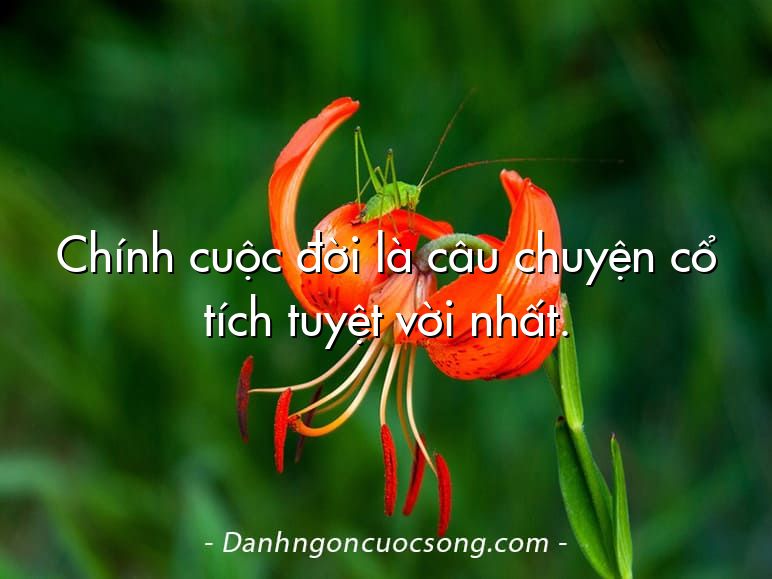 Chính cuộc đời là câu chuyện cổ tích tuyệt vời nhất.