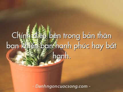 Chính điều bên trong bản thân bạn khiến bạn hạnh phúc hay bất hạnh.
