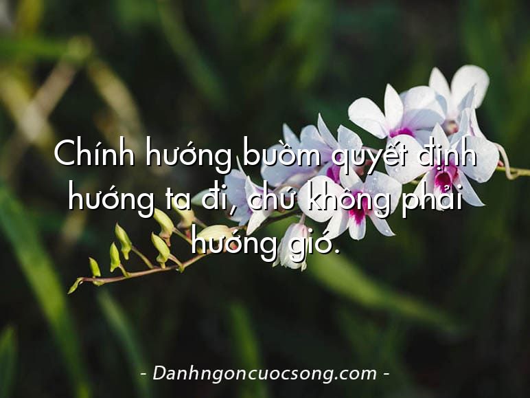 Chính hướng buồm quyết định hướng ta đi, chứ không phải hướng gió.