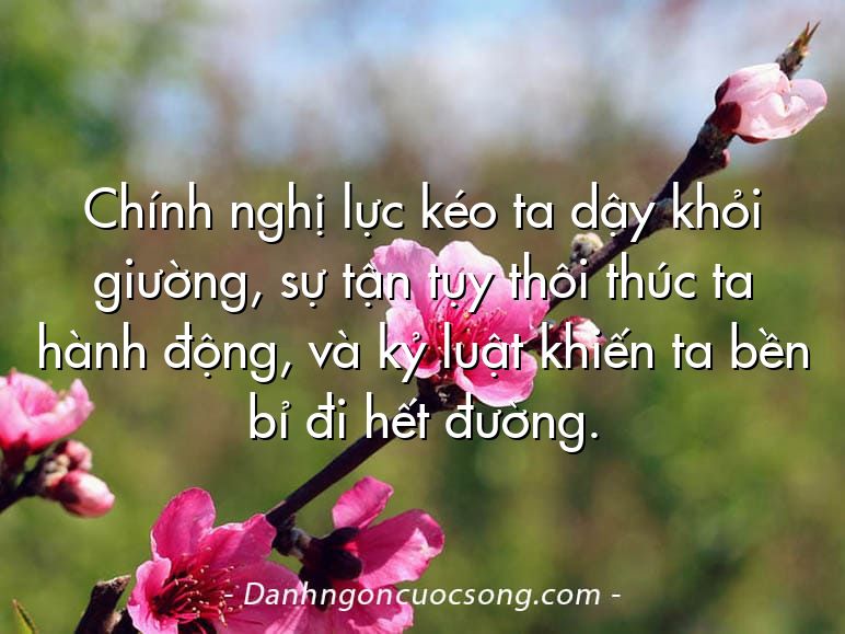 Chính nghị lực kéo ta dậy khỏi giường, sự tận tụy thôi thúc ta hành động, và kỷ luật khiến ta bền bỉ đi hết đường.