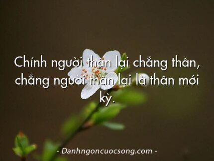 Chính người thân lại chẳng thân, chẳng người thân lại là thân mới kỳ.