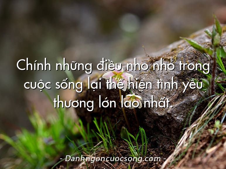 Chính những điều nho nhỏ trong cuộc sống lại thể hiện tình yêu thương lớn lao nhất.