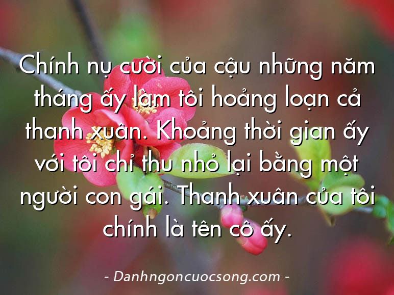 Chính nụ cười của cậu những năm tháng ấy làm tôi hoảng loạn cả thanh xuân. Khoảng thời gian ấy với tôi chỉ thu nhỏ lại bằng một người con gái. Thanh xuân của tôi chính là tên cô ấy.
