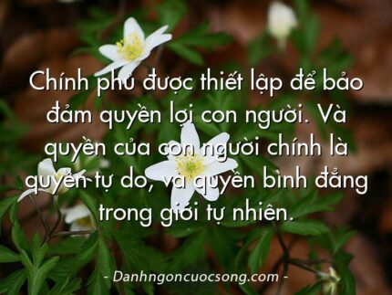Chính phủ được thiết lập để bảo đảm quyền lợi con người. Và quyền của con người chính là quyền tự do, và quyền bình đẳng trong giới tự nhiên.