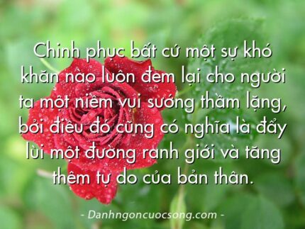 Chinh phục bất cứ một sự khó khăn nào luôn đem lại cho người ta một niềm vui sướng thầm lặng, bởi điều đó cũng có nghĩa là đẩy lùi một đường ranh giới và tăng thêm tự do của bản thân.
