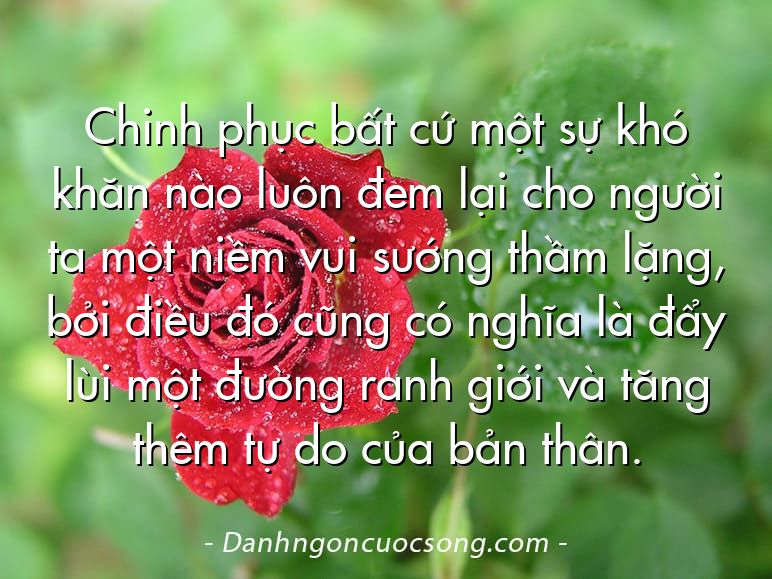 Chinh phục bất cứ một sự khó khăn nào luôn đem lại cho người ta một niềm vui sướng thầm lặng, bởi điều đó cũng có nghĩa là đẩy lùi một đường ranh giới và tăng thêm tự do của bản thân.
